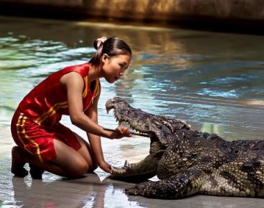 Крокодилы в воде - сонник