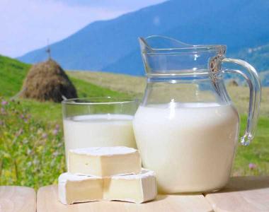 Produktiviteti i qumështit dhe prodhimi i qumështit të pelës Qumështi i mares së kalit të Bashkirit në kapsula