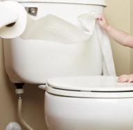 چه کسی الاغ را پاک می کند که چگونه الاغ را با دستمال توالت صحیح پاک کند