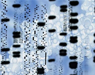 DNA حامل اطلاعات ارثی است