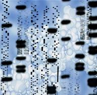 DNK je nosilac nasljedne informacije