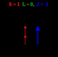 เทนเซอร์วิเคราะห์การวัดกำลังไฟฟ้า T2