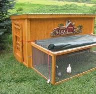 Rregullimi dhe izolimi i dyshemesë në kafazin e pulave