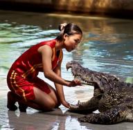 Krokodili v vodi - sanjska knjiga