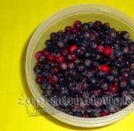 Receta: Komposto e konservuar me rrush pa fara dhe shadberry - komposto aromatike dhe vitaminë e ngrirë me shadberry