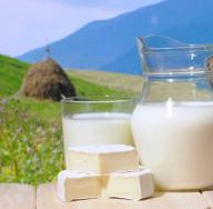 Mlečnost in proizvodnja kobiljega mleka baškirskega konja Kobilje mleko v kapsulah