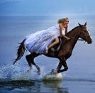 Tumačenje snova: zašto konj sanja, vidjeti konja u snu, što znači